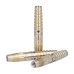 DYNASTY collaboration QUADS7 Gold 實近菜那 [2BA]