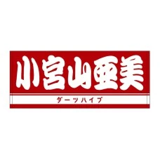 DARTS HiVe 選手商品2025 洗臉巾 小宮山亜美