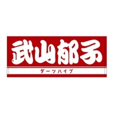DARTS HiVe 選手商品2025 洗臉巾 武山郁子