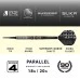 Harrows CHIZZY SERIES 4 Dave Chisnall [2BA 20g]