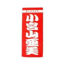 DARTS HiVe 選手商品2026 應援毛巾(直) 小宮山亜美